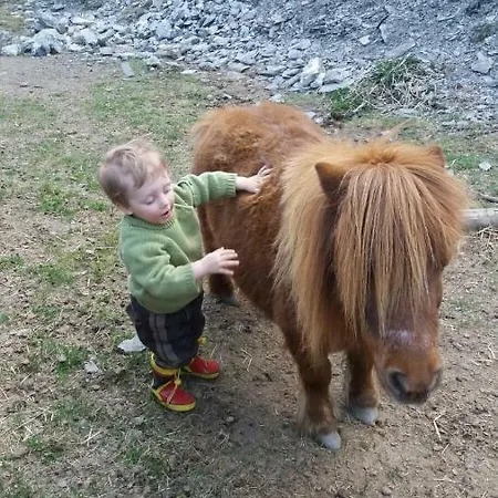 Appartmenthof Aigengut *