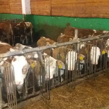 Appartmenthof Aigengut