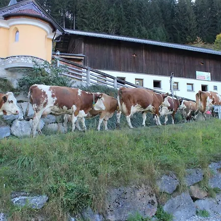 Appartmenthof Aigengut *
