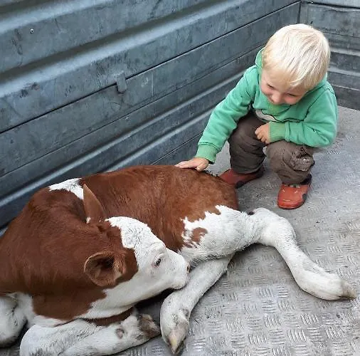 Appartmenthof Aigengut